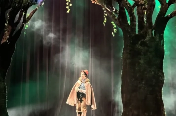 Foto - Vinicius de Mello